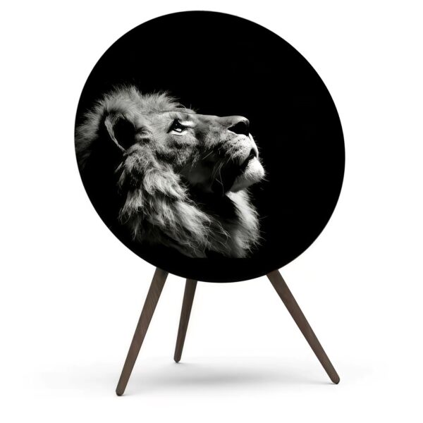Cover für BeoPlay / BeoSound A9 - LeoGlow