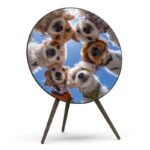 Cover für BeoPlay / BeoSound A9 - Paws & Harmony