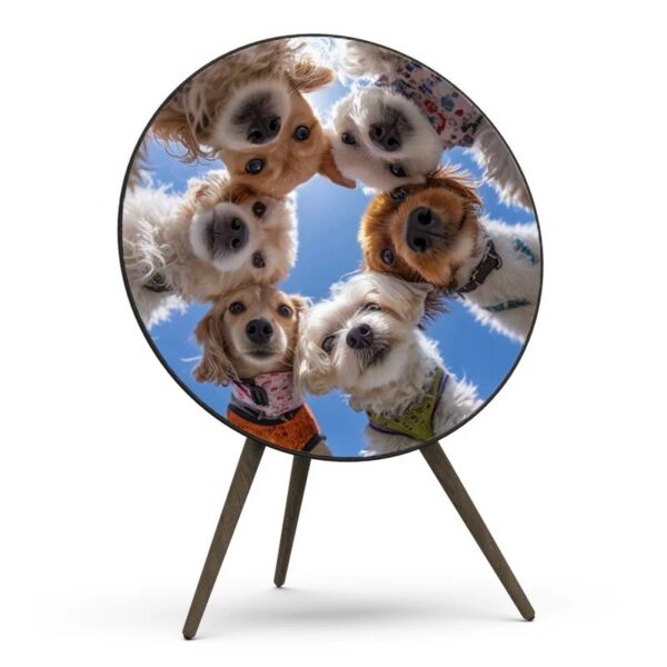 Cover For BeoPlay / BeoSound A9-Paws & Harmony