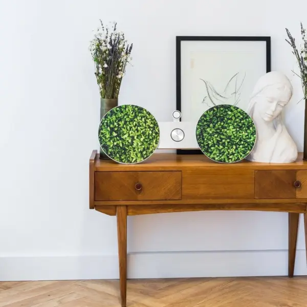 llosound-cover-plants-beoplay-a8-bang-olufsen-1-1.webp