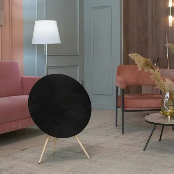 Cover für BeoPlay BeoSound A9 – Detailansicht